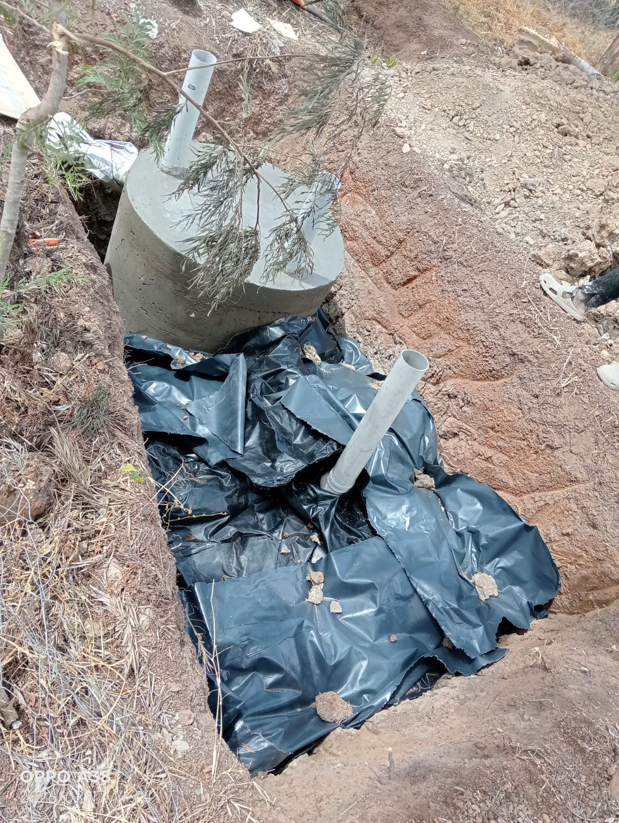 Eco-Friendly Biodigester Solutions